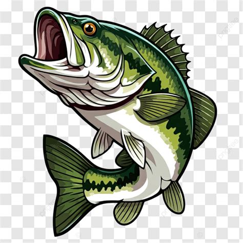 Bass fish art Vectors & Illustrations for Free Download .
